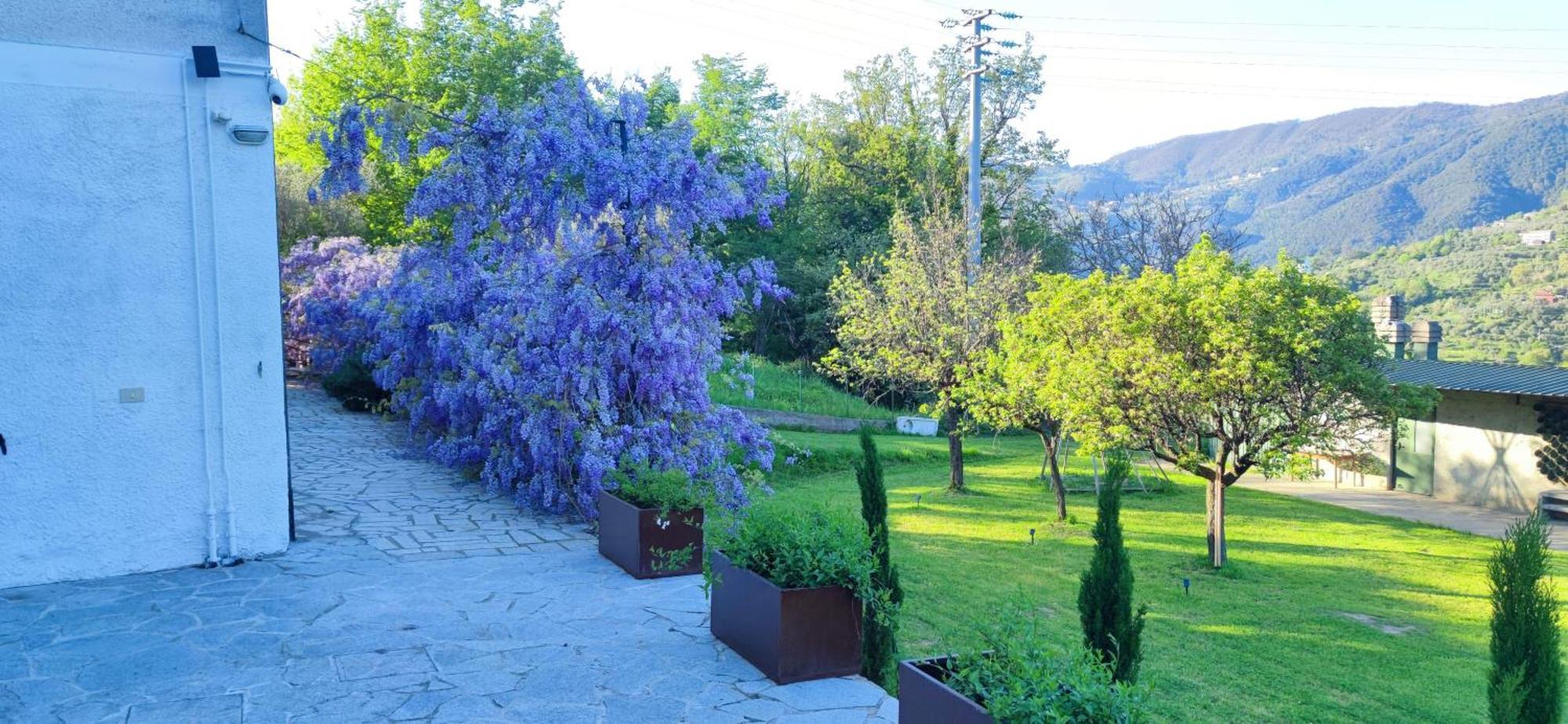 Apartamento Residenza Bertolini Fosdinovo Exterior foto